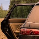 Saharazand, pollen en vogelpoep vormen een bedreiging voor autolak | Autobedrijf Auto Nol