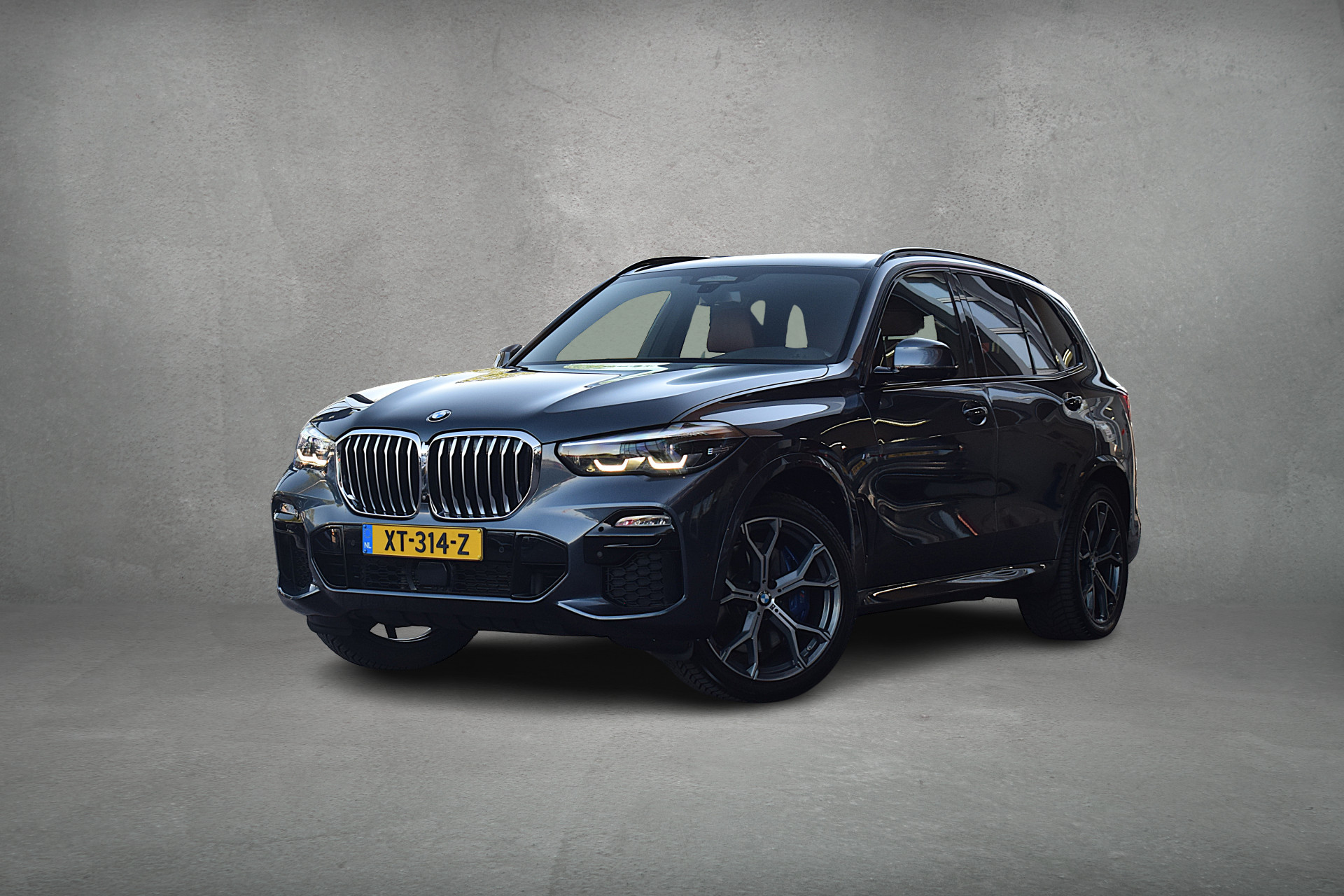 BMW X5 xDrive40i High Executive | BMW occasion
