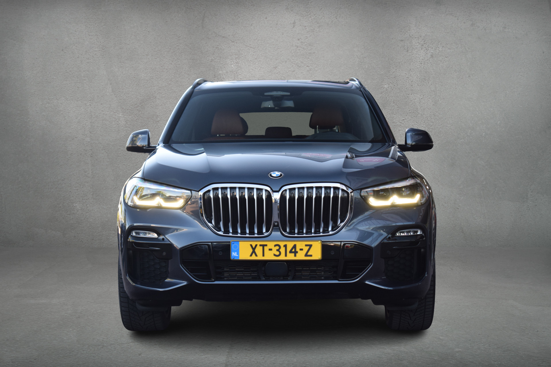 BMW X5 xDrive40i High Executive | BMW occasion