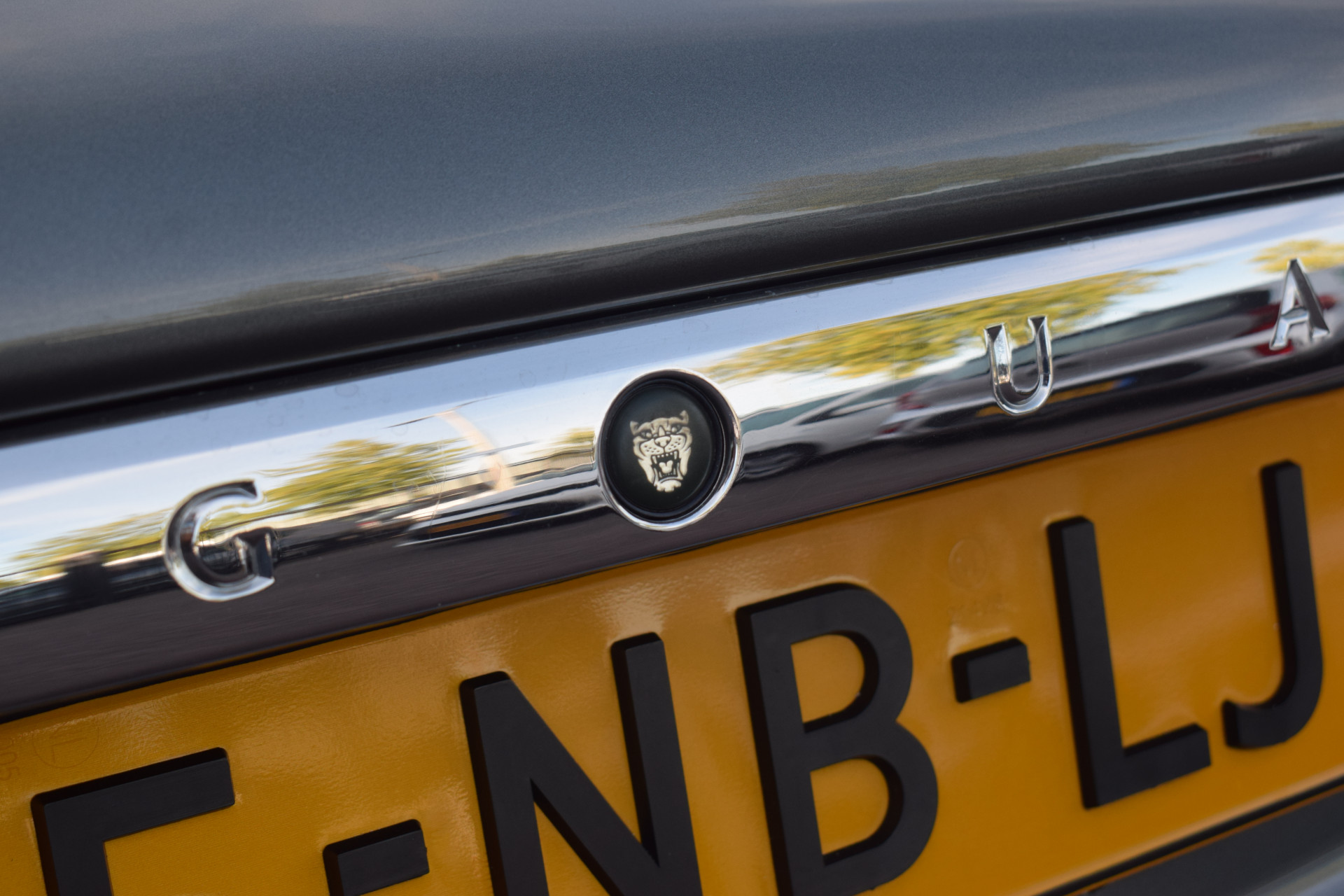 Jaguar XJ 3.0 V6 | Jaguar occasion