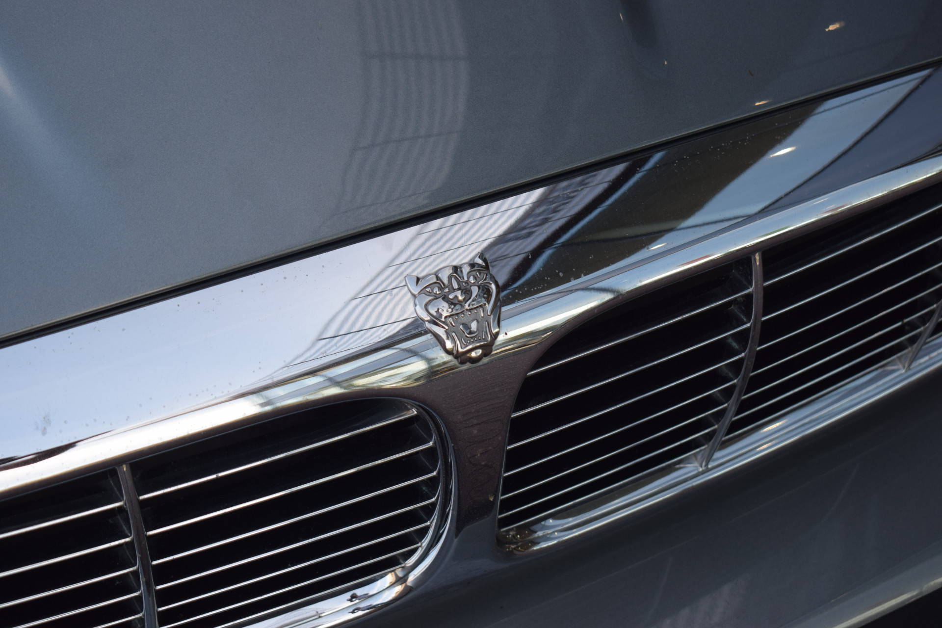 Jaguar XJ 3.0 V6 | Jaguar occasion