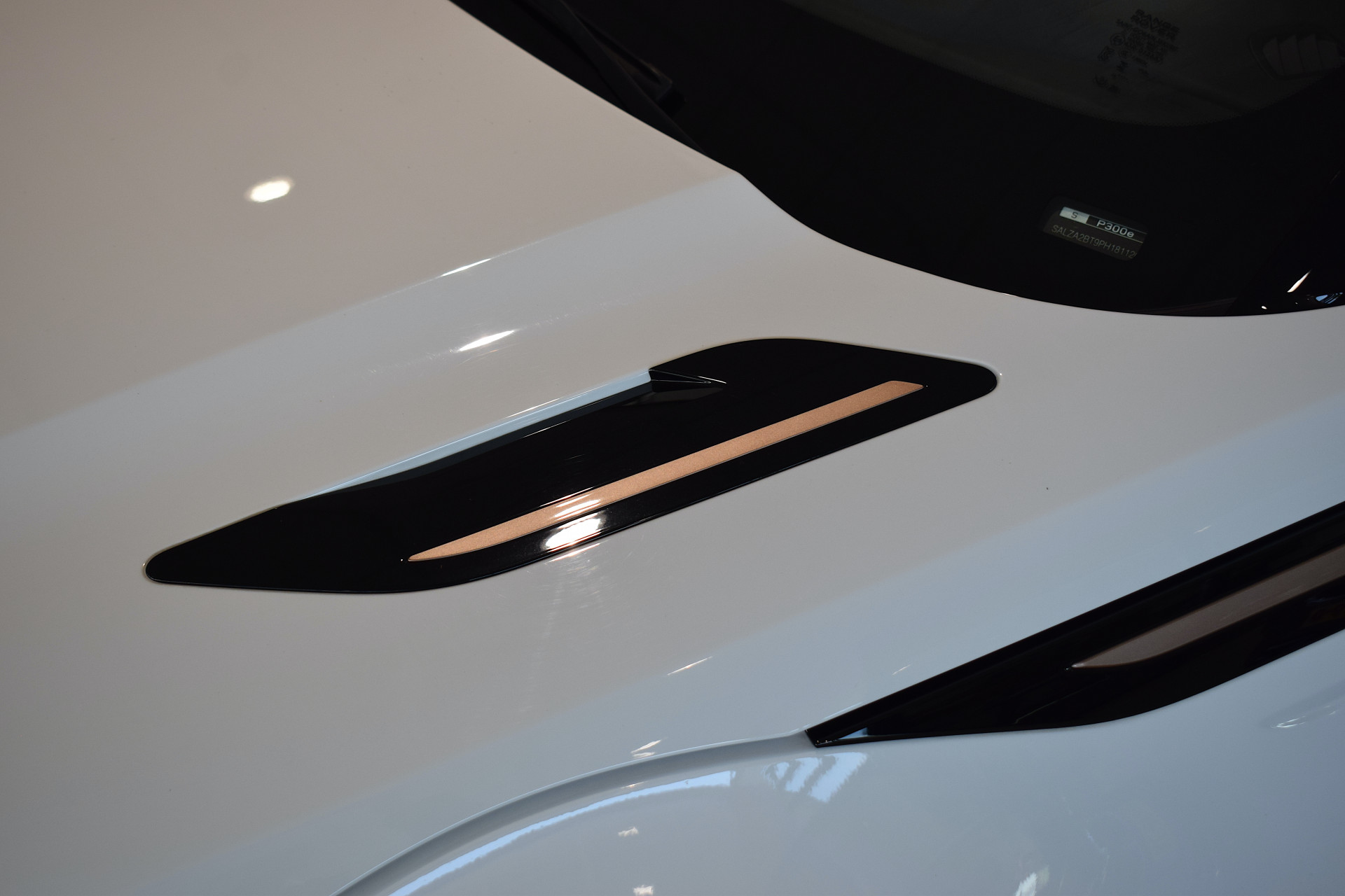 Land Rover Range Rover Evoque 1.5 P300e AWD R-Dynamic S | Land Rover occasion