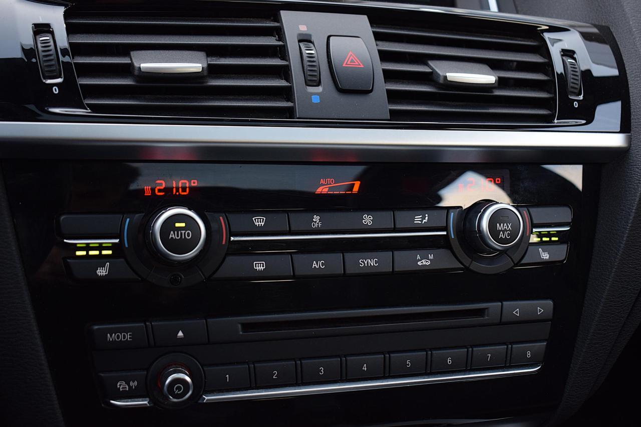 BMW X3 xDrive20i Centennial High Executive | BMW occasion