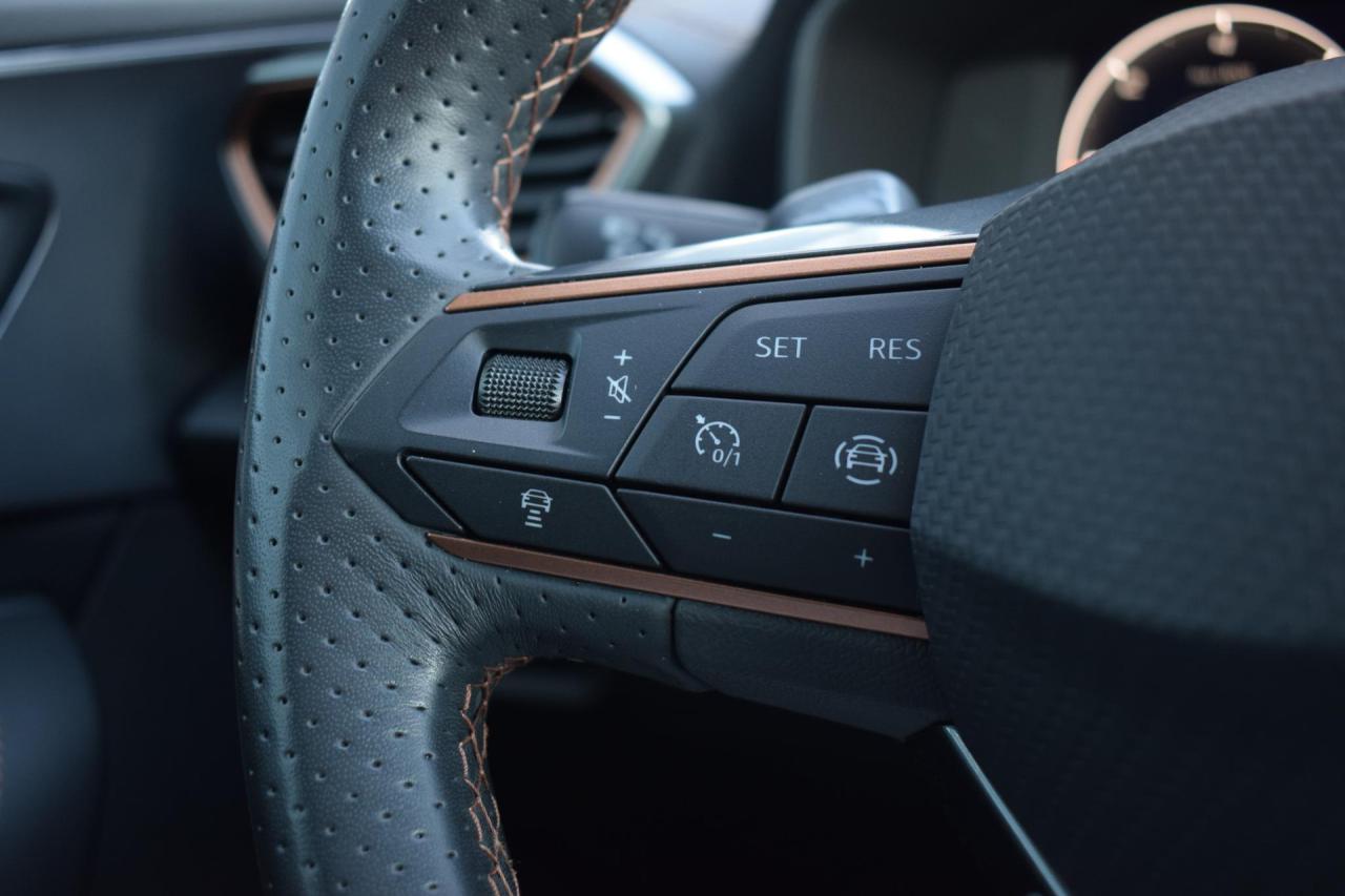 CUPRA Formentor 1.4 TSI e-Hybrid Essential | CUPRA occasion