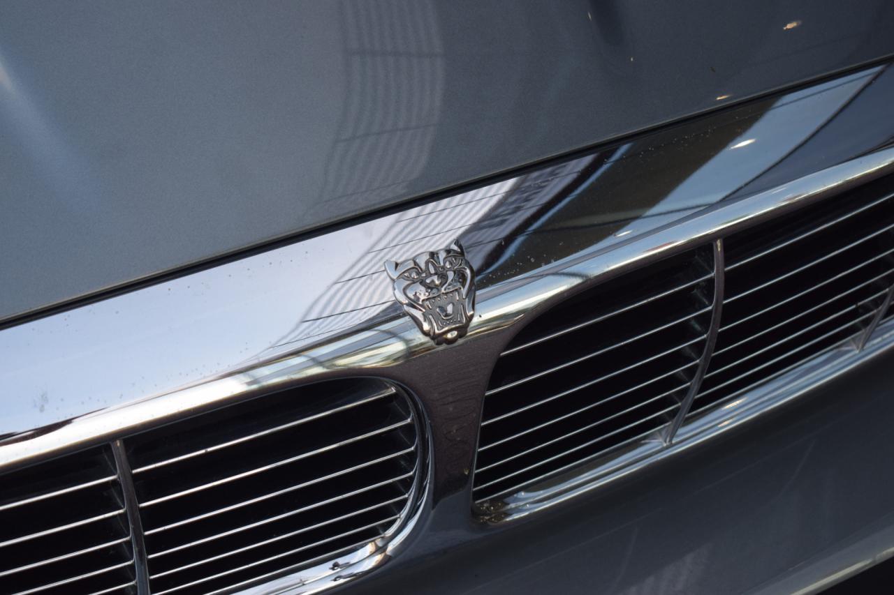 Jaguar XJ 3.0 V6 | Jaguar occasion