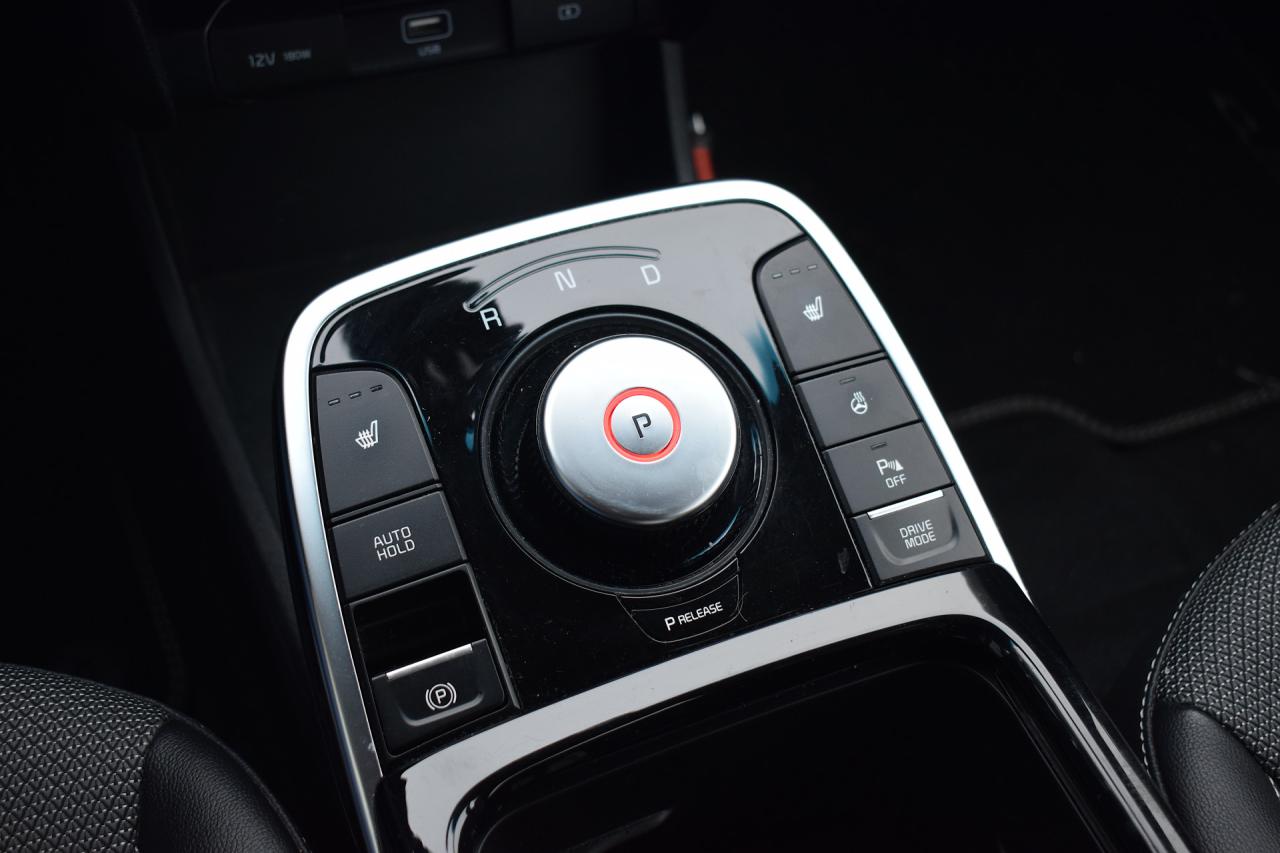 Kia e-Niro DynamicLine 64 kWh | Kia occasion