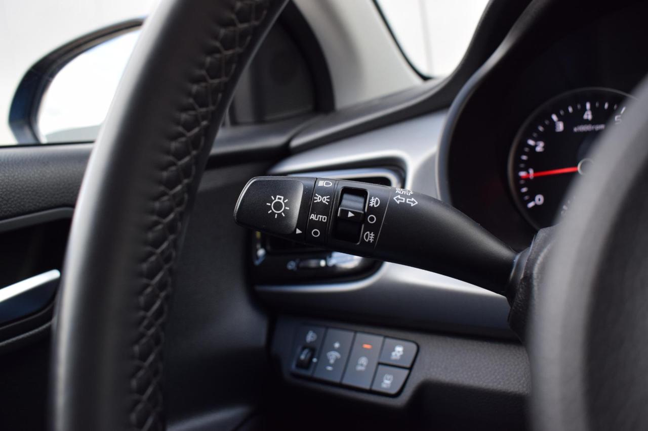 Kia Rio 1.0 T-GDi MHEV DynamicLine | Kia occasion
