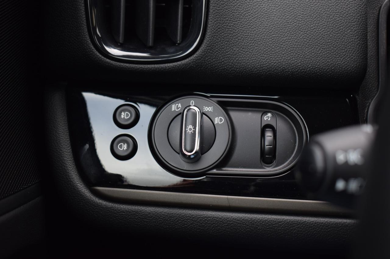 MINI Countryman 2.0 Cooper S E ALL4 Chili | MINI occasion